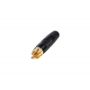 REAN RF2C-B-0 RCA plug, gold plated contacts