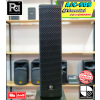 A&J AJC-505 Professional 2 Way Column Speaker