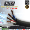 ⾧ͧᴧ HB HYBRID 4x2.5 (Ҥ)
