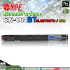 NPE CK-001BT   BLUETOOTH / USB / MP3